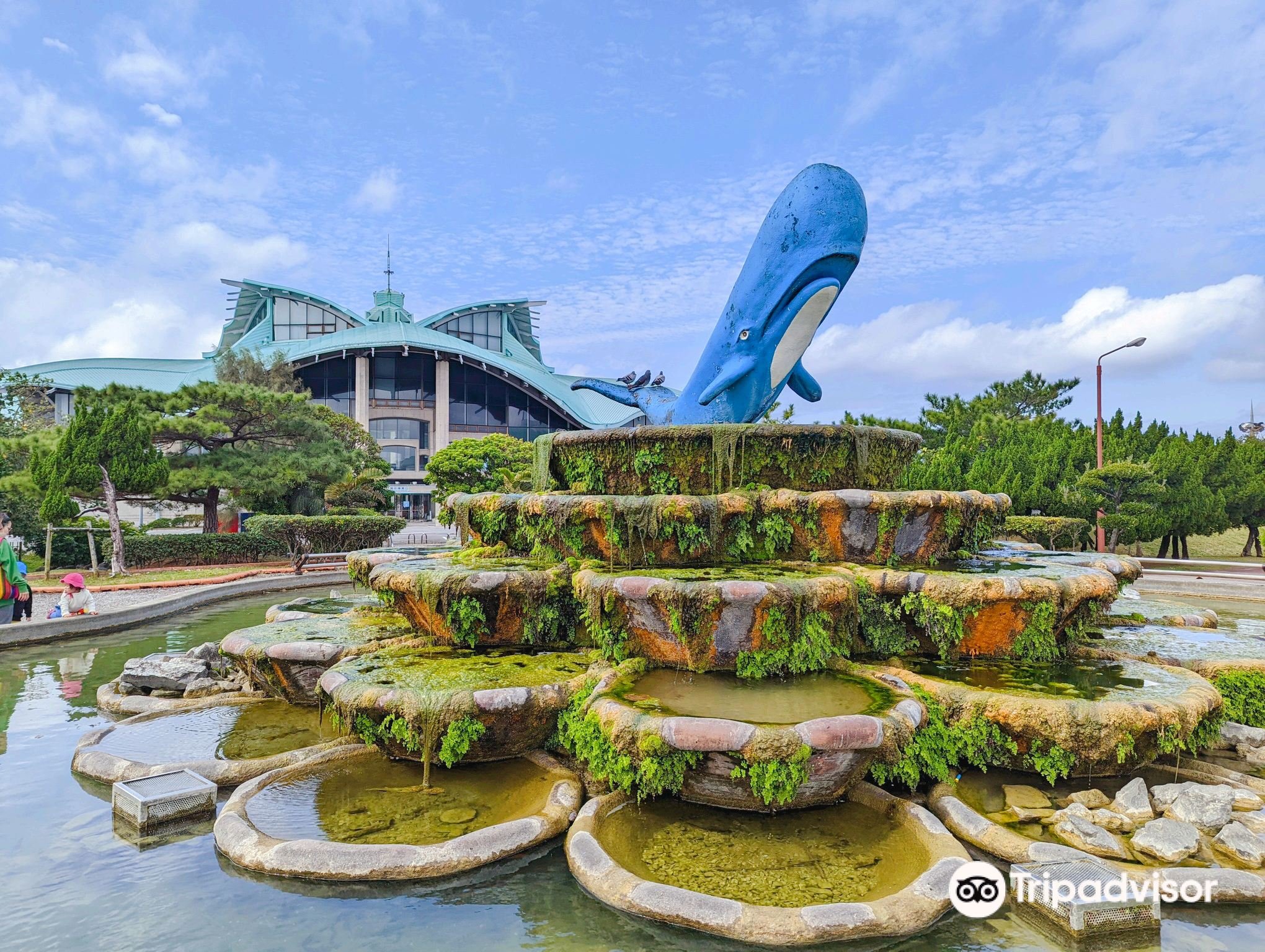 🏞️ 기노완 해변공원